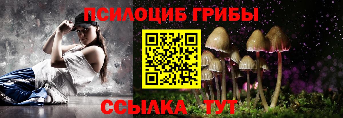 Донецк  дарнет шоп  Вход с VPN  Галлюциногенные грибы Psilocybine cubensis 